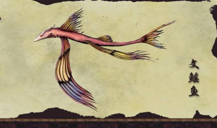 ����Ϊʲô�������� �������������