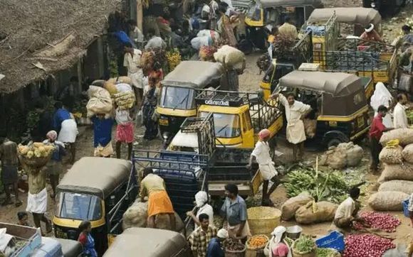 ӡ�������ƶ��µļ�����Ƭ ӡ�ȸ�����Ů����Ƭ