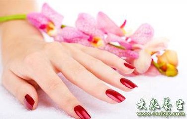 ����ָ��ʳָ����Ů��������� ����ָ��ʳָ���и�����