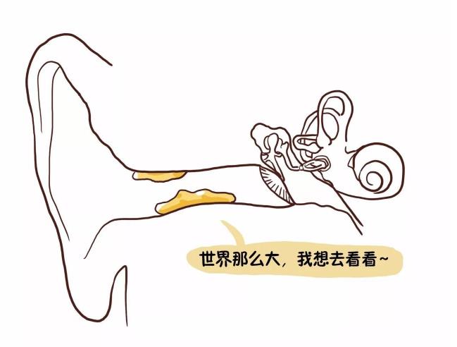 �Ͷ�����ʲô������˼ �Ͷ����ں�ԭ��������