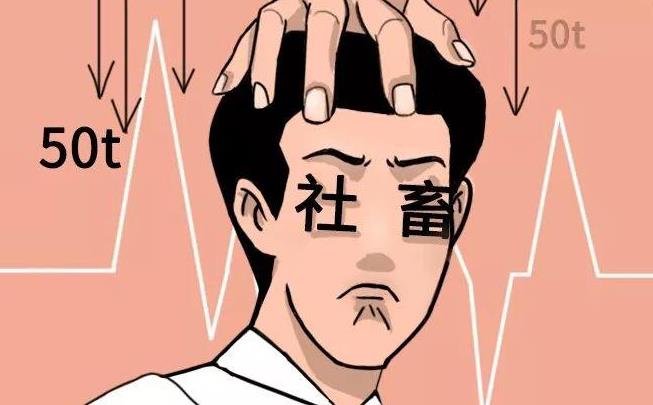 ��������ʲô��˼ ��������������