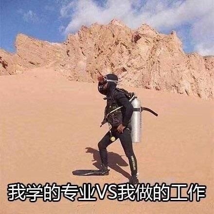 ��������ʲô��˼ ��������������