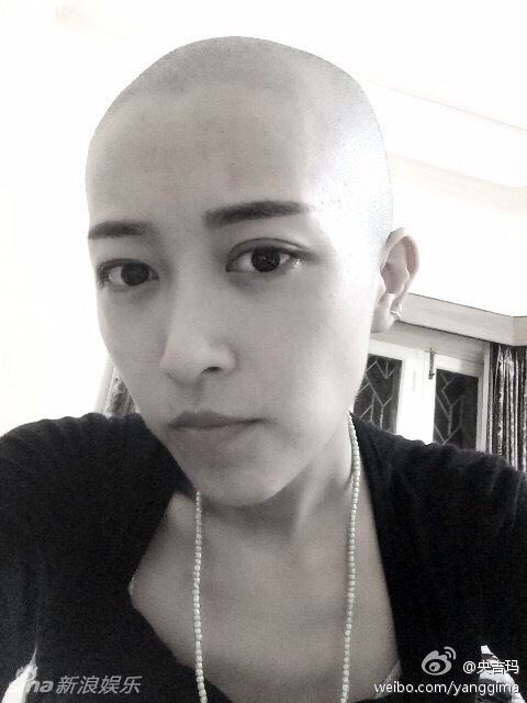 �뼪��Ϊʲô���ͷ �뼪���Ϲ�lee��Ƭ���