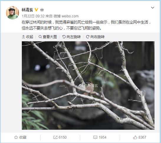 著名作家林清玄怎么去世的 是得了什么病吗