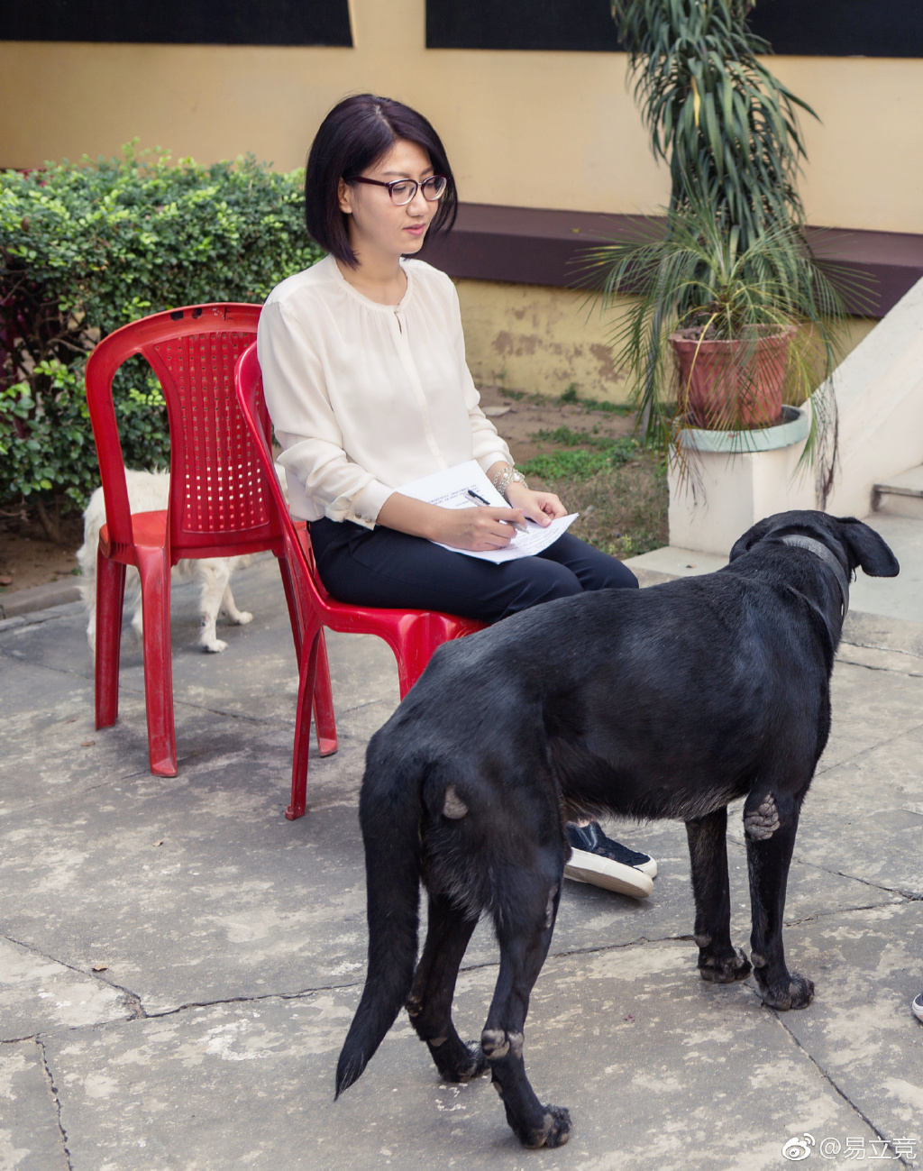 ���������û������������� ���������ĸ���ѧ��ҵ��