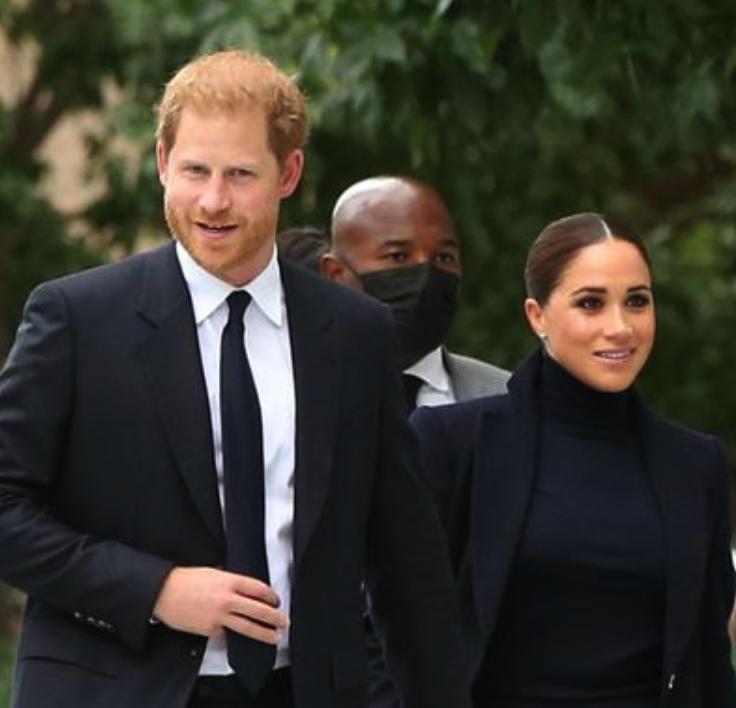 ÷���Ǻ��˷�ɫΪʲô���� �����ķ�֮һ����Ѫͳ��