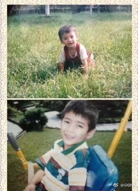 TS���ֶ����������ʲô Ϊʲô˵��������