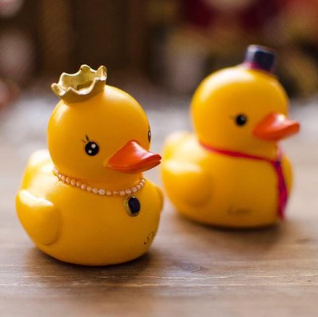 Ů����С��Ѽ����ʲô��ʾ��˼ ûɶ��˼�ܻ�ı���