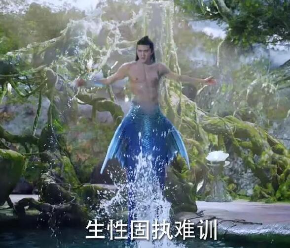 Ԧ�޼Ǵ�����ʲô ���ƺ̳�������һ������