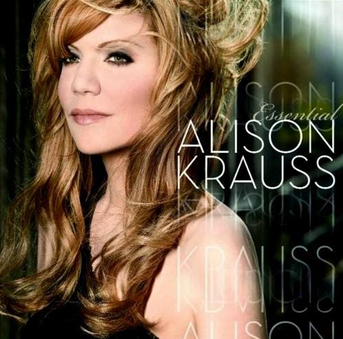 ��ø����������й������� �ø�����������������