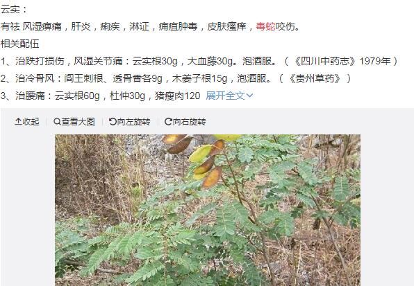 ���߸��������н�ҩ��ô �����߲�֮�ڱ��н�ҩ��ļٵ�