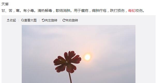 ���߸��������н�ҩ��ô �����߲�֮�ڱ��н�ҩ��ļٵ�