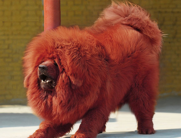 ���˴��������ҧ���� ����������ҳ���