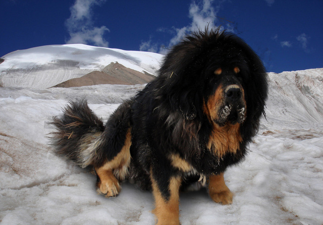 ���˴��������ҧ���� ����������ҳ���