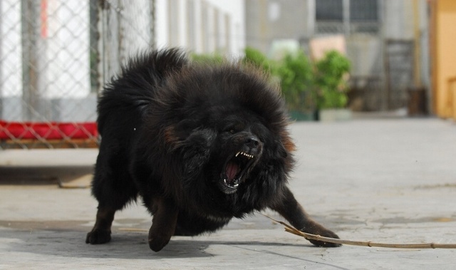 ���˴��������ҧ���� ����������ҳ���