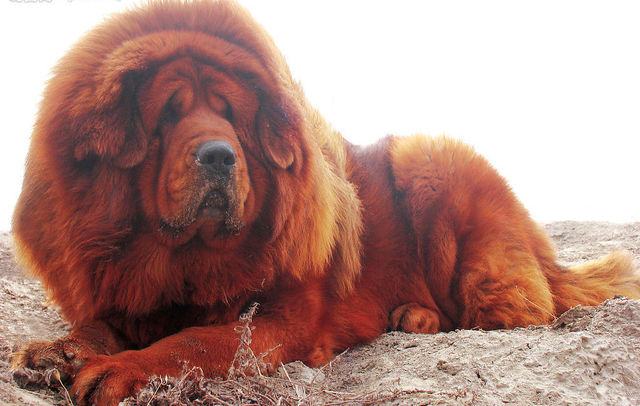 ���˴��������ҧ���� ����������ҳ���