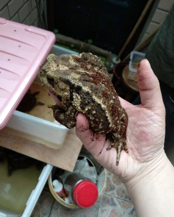 �����ܽ���ʲôԤ�� ��Ҫ����������Ԥ��