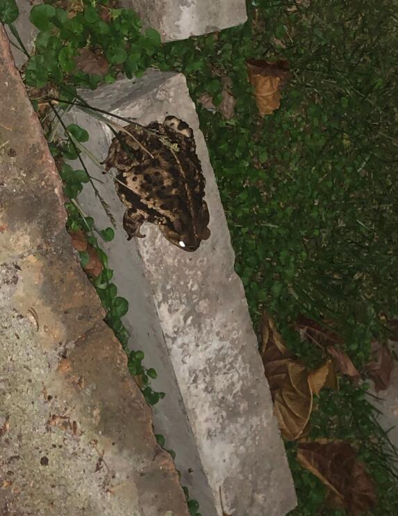 �����ܽ���ʲôԤ�� ��Ҫ����������Ԥ��