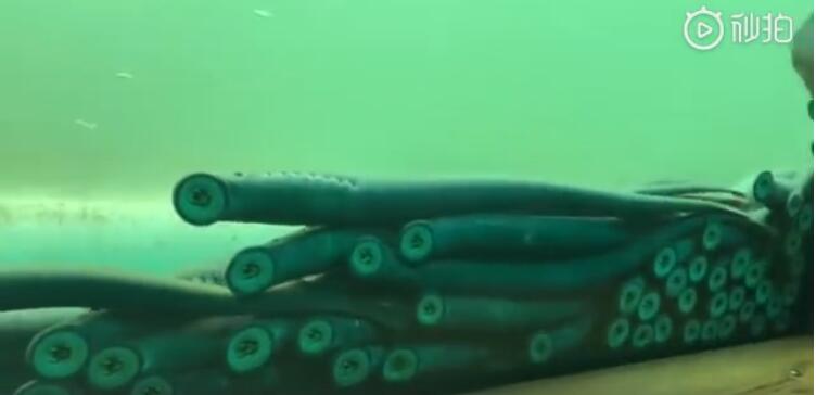 ������Ϊʲô��ô���� ��Ϊ��ԭʼ�ļ�׵������Ϊʲô������