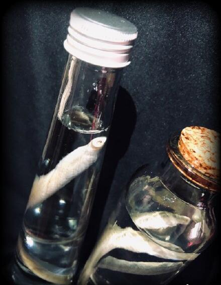 ������Ϊʲô��ô���� ��Ϊ��ԭʼ�ļ�׵������Ϊʲô������