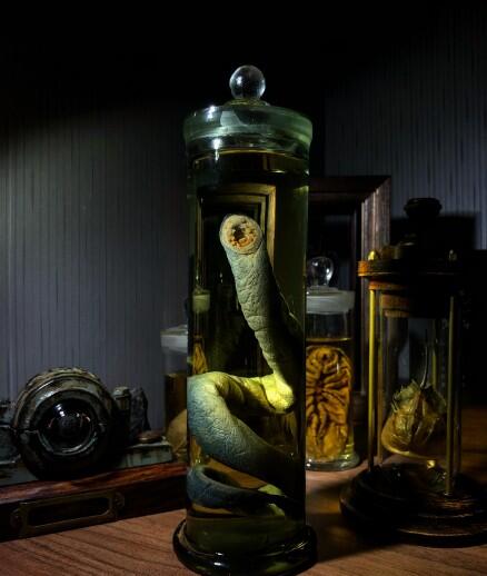 ������Ϊʲô��ô���� ��Ϊ��ԭʼ�ļ�׵������Ϊʲô������