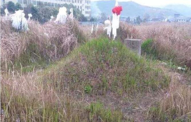 ���ϲ�������ζ��ʲô ��������ô����?�ò���?