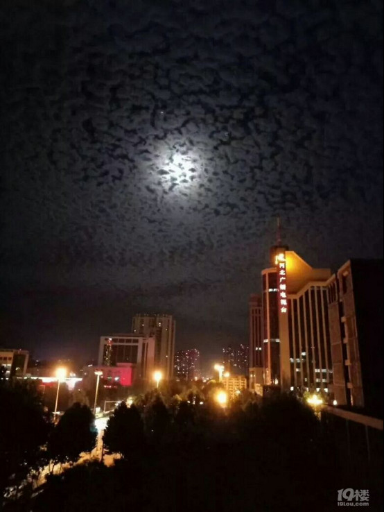 ��䴫�Եĵ����Ƶ�������Ƭ �����Ƴ��ֶ�ú�����