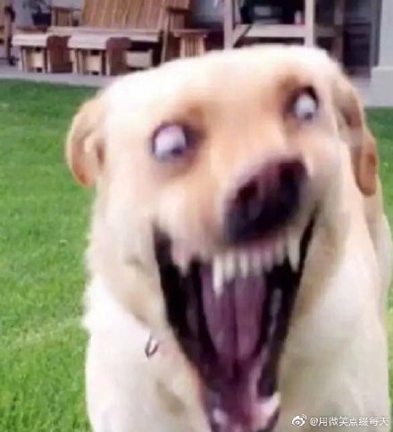 Ů��˵���ʲô��˼ ����˵�������ʲô����