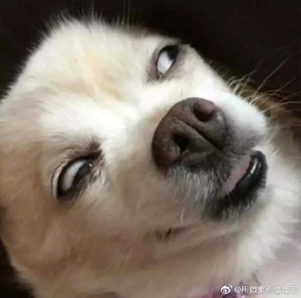 Ů��˵���ʲô��˼ ����˵�������ʲô����