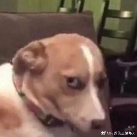 Ů��˵���ʲô��˼ ����˵�������ʲô����