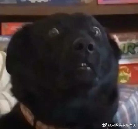 Ů��˵���ʲô��˼ ����˵�������ʲô����