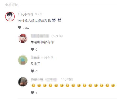 ����Ҷ��Ϊʲô�� Ҷ��С�����˭