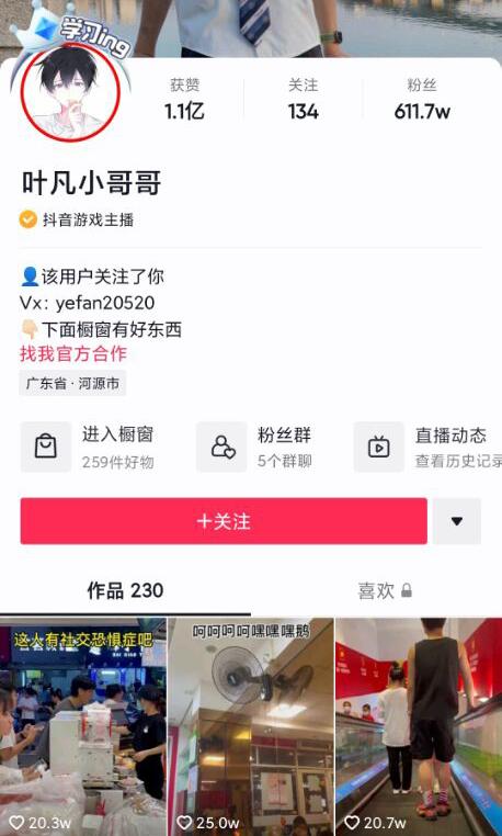 ����Ҷ��Ϊʲô�� Ҷ��С�����˭