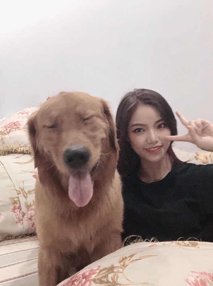 ��ëSiri�¼�ͼƬ ����������