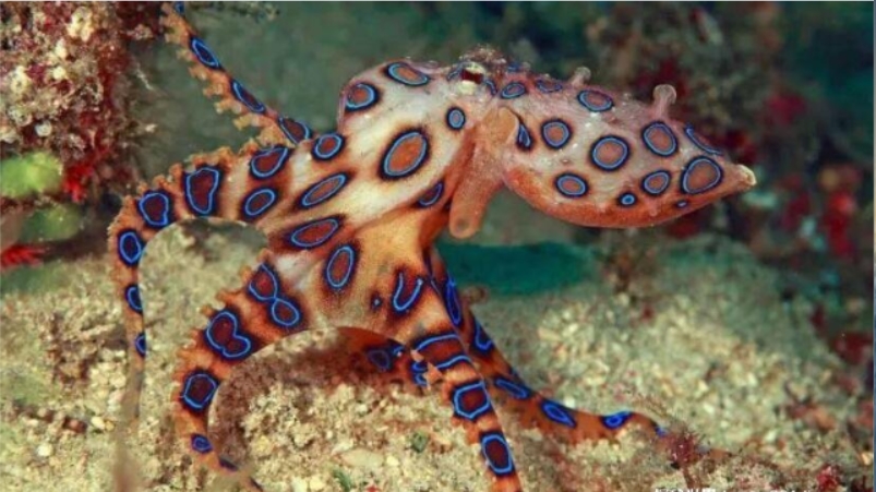 ���������ж඾ ��������Ϊʲô�ᷢ�� �������ʮ�����̵㣩