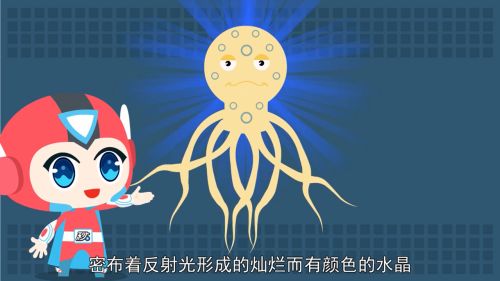 ���������ж඾ ��������Ϊʲô�ᷢ�� �������ʮ�����̵㣩