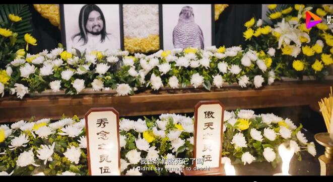 ��ӥ����Ϊʲôӥ����Ļ� ��ӥ��ԭ���Ͳ�����������