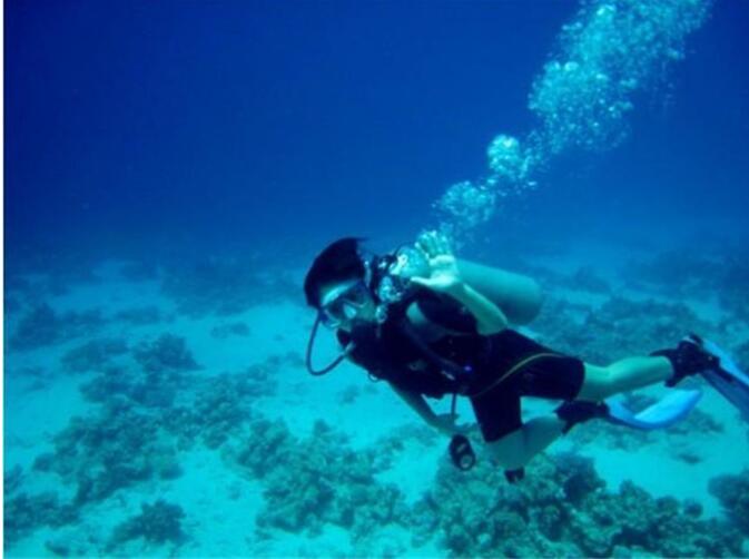 Ϊʲô����������Σ�� ���������ṹͼ����