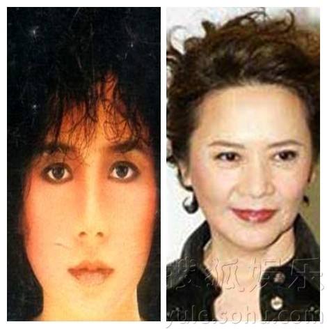 Ҷ����������Ƭ �����»��ĸ���