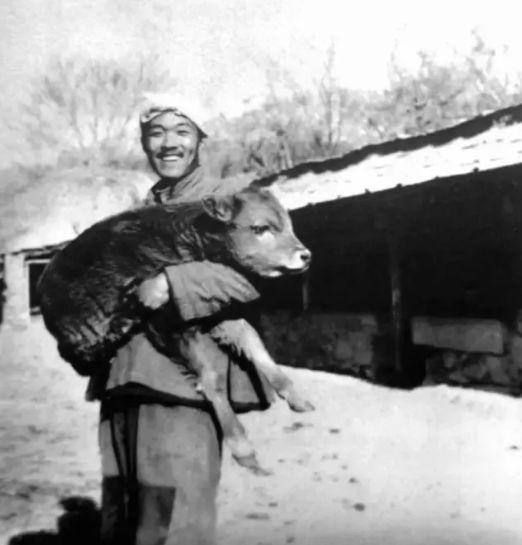 ʷ����Ϊʲô��ʧȥ˫�� ����̱��Ƣ������쳣�ı���