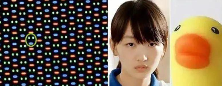 �ܶ�����Ļ��ʲô�� �ܶ������ʯ��Ļ���������