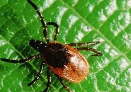 ����ҧ���˿ڸտ�ʼ�������� ������ҧ���������