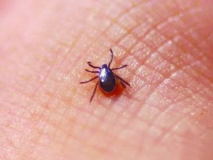 ����ҧ���˿ڸտ�ʼ�������� ������ҧ���������