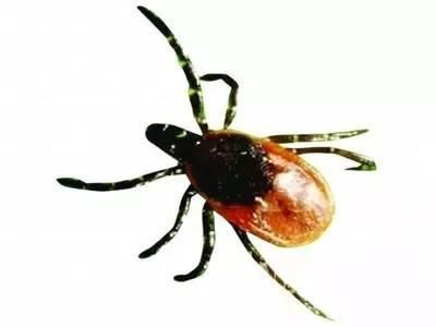 ����ҧ���˿ڸտ�ʼ�������� ������ҧ���������