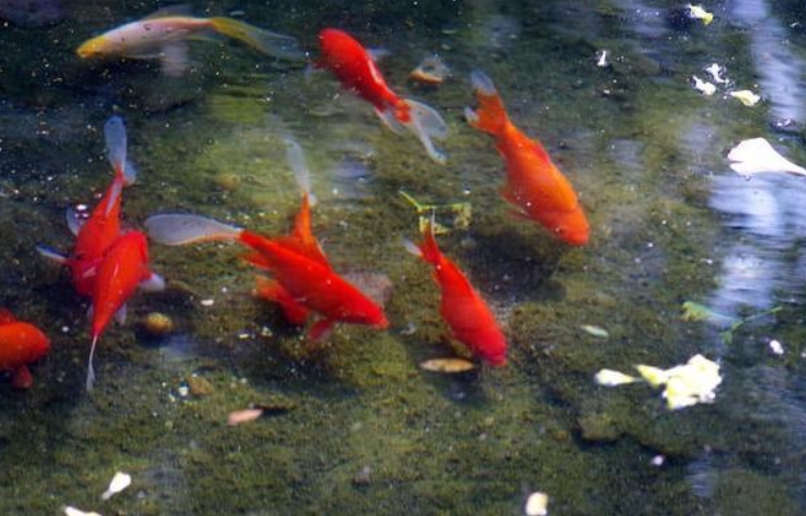 �������ܳ��� Ϊʲô�������˳���ʲô�ɻ���