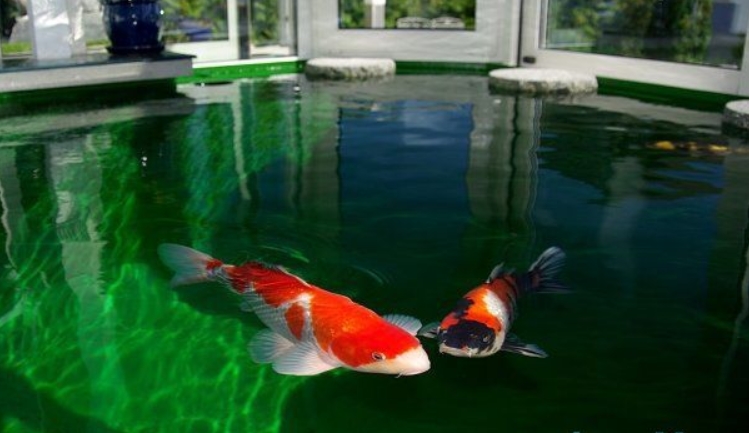 �������ܳ��� Ϊʲô�������˳���ʲô�ɻ���