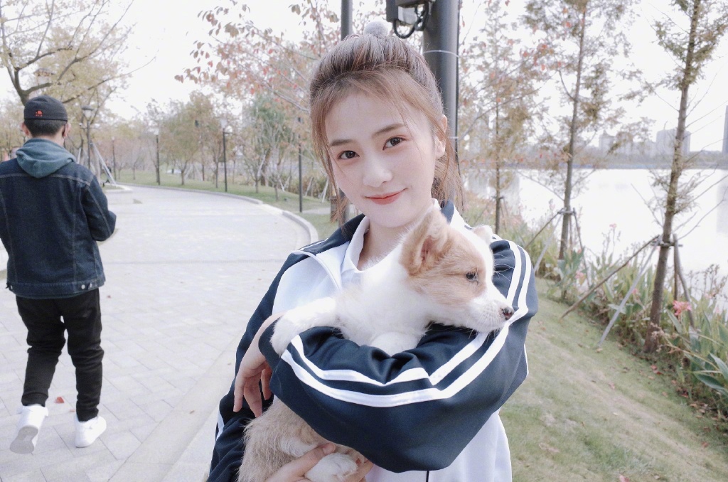 ����������ϼ�� ����Ϊʲô������