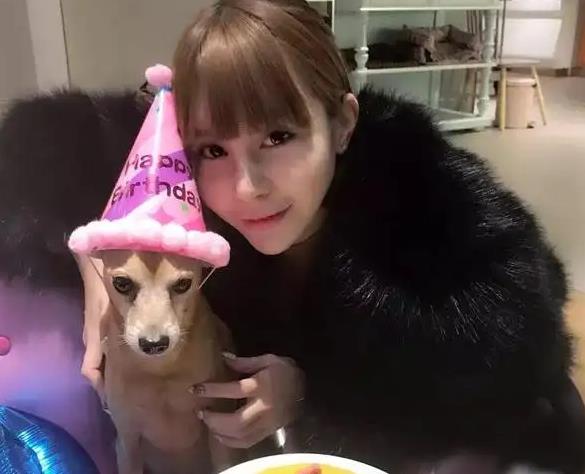 �ǳ����ű����ɹ��Ϳ����Ͻ�Ŀ���� �ǳ����ű����ɹ�����������ɶ