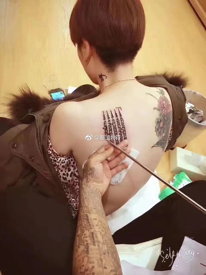 ȥ̩���̷���Ŷ���Ǯ ̩�������̷��з�����