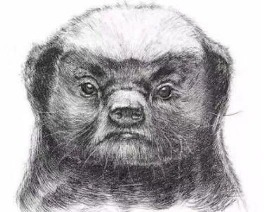 ���Ϊʲôû����԰�� ƽͷ������ܴ�С����